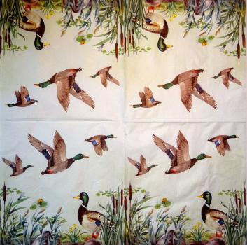 139 Ducks - 3-ply